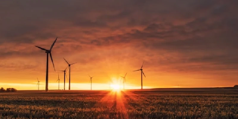 Renewable Energy Company - Stakeholder Buy-in